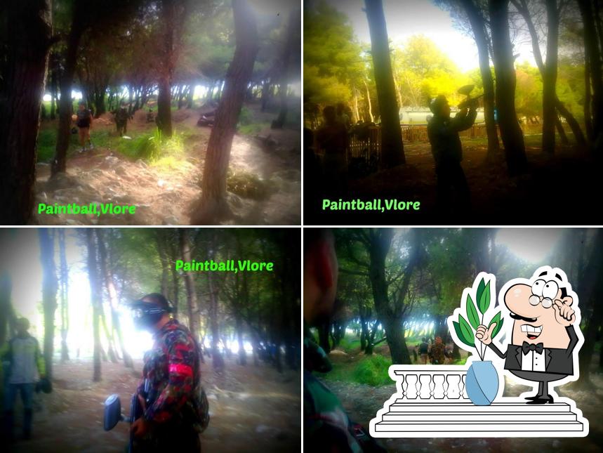 Paintball Fun Club Vlora_Vlore
