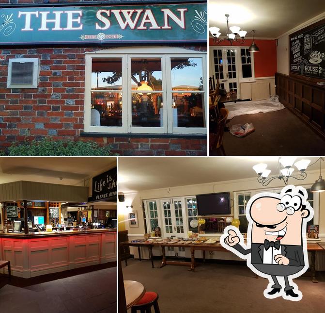 Swan