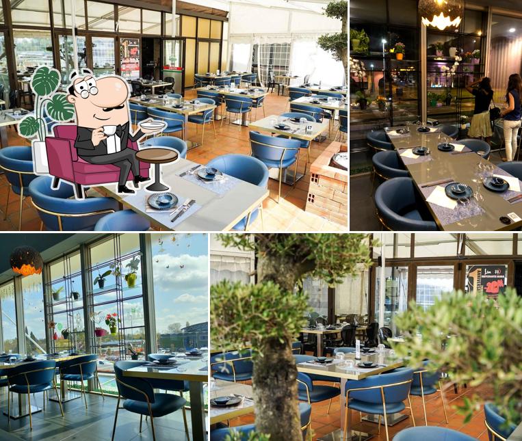 Leo Wok - Ristorante Sushi e Cinese