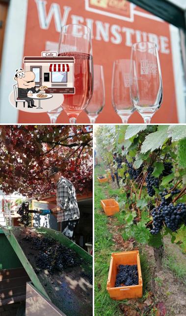 Weingut Thul & Sohn
