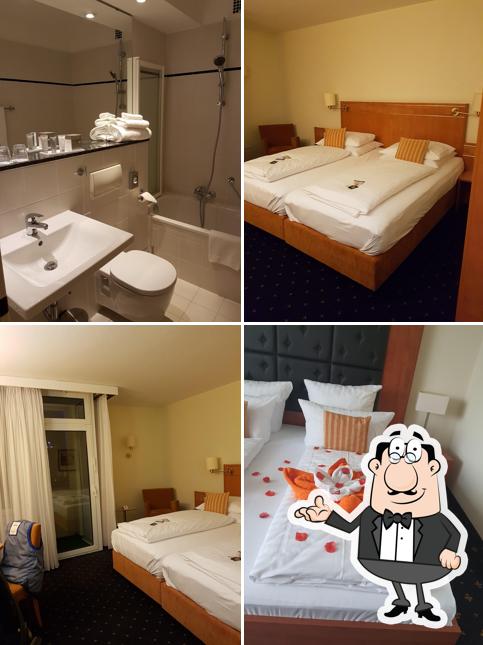 Best Western Plus Hotel Steinsgarten