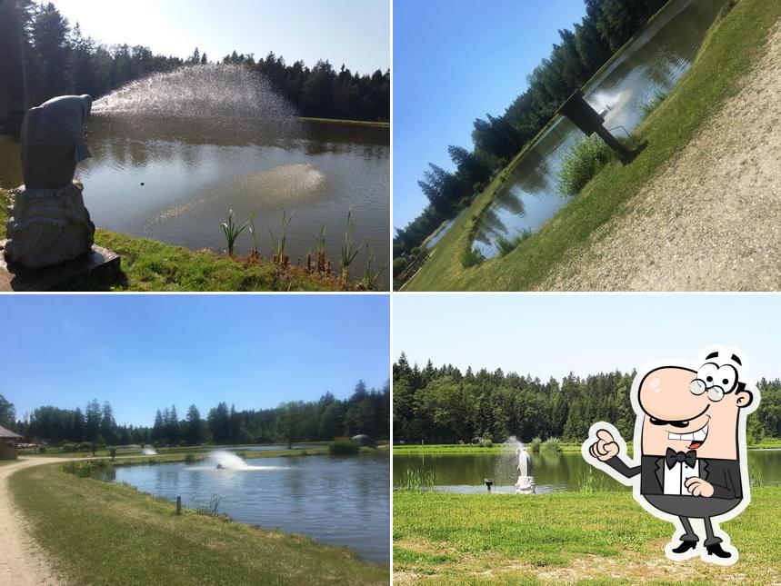 Al Lago