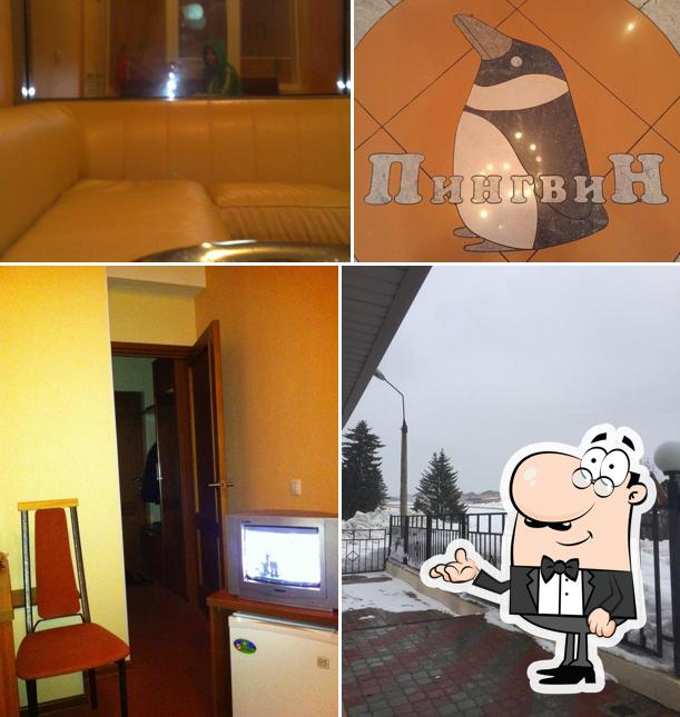 Пингвин