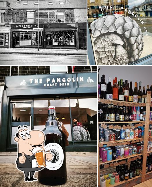 Pangolin Craft Beer