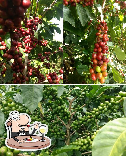LA PORTADA COFFEE, CAFE, CAFE ORIGEN NARIÑO, CAFES ESPECIALES