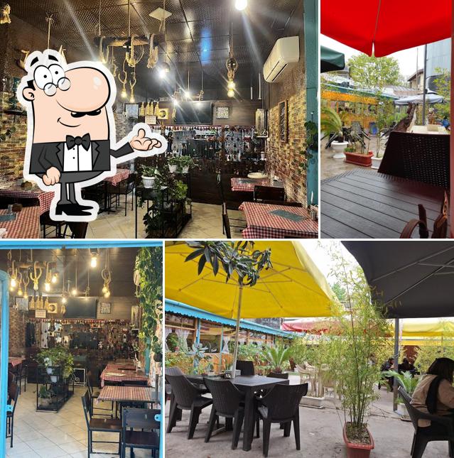 Gandom cafe