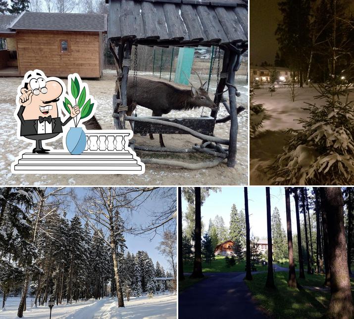 Клюква