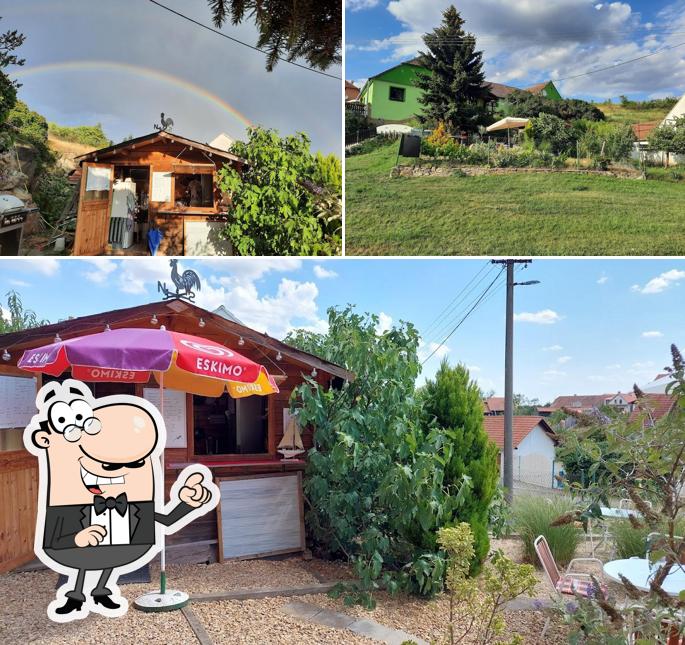 Občerstvení u Ještěrky