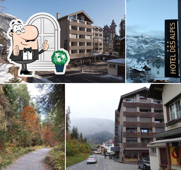 Hotel des Alpes