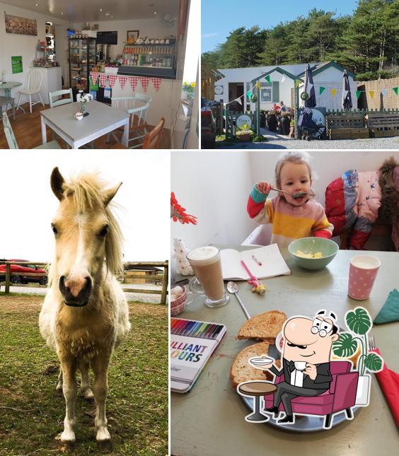 Daisy's Little Coffee Shop