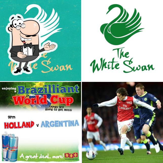 The White Swan