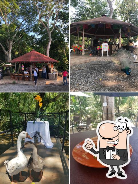 Kiosko del Páramo