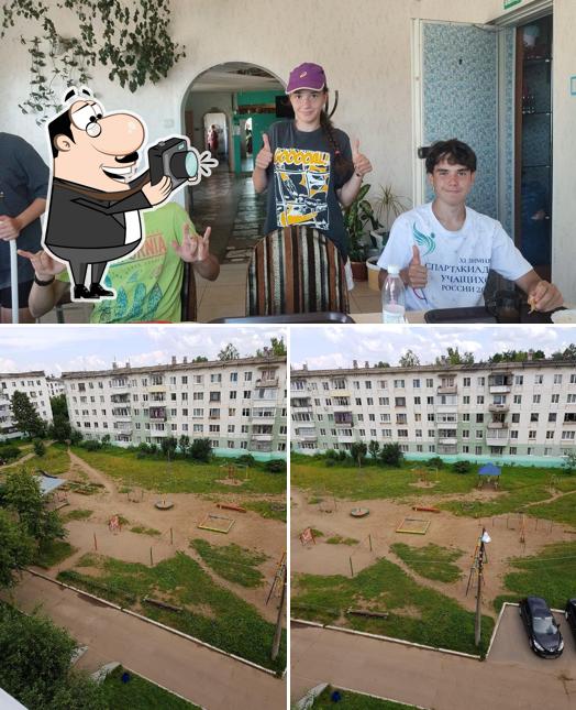 Золотой лев