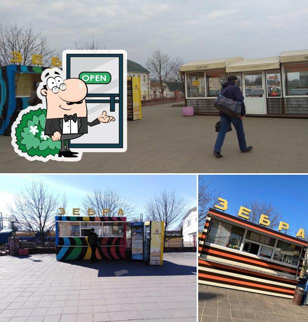 Zebra Mini Cafe