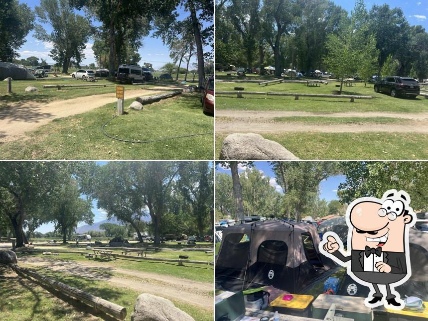Brown's Town Campground