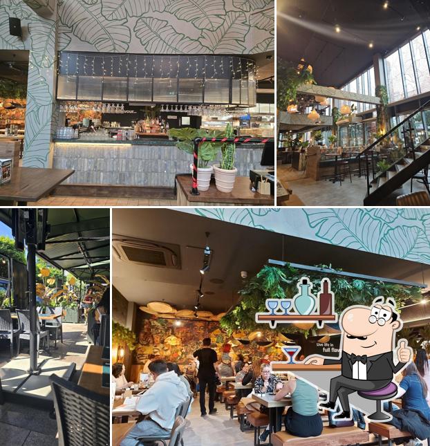 Banana Tree Cardiff