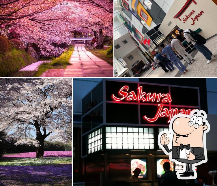 Sakura Japan