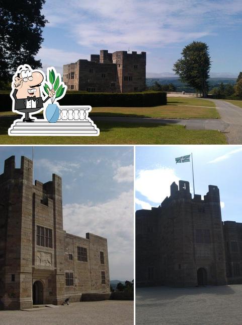 Cafe Drogo Castle