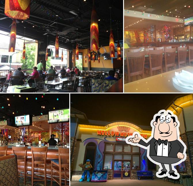Mellow Mushroom Pigeon Forge