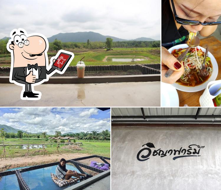 Witchaya Farm