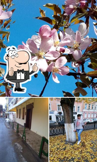 Бульвар