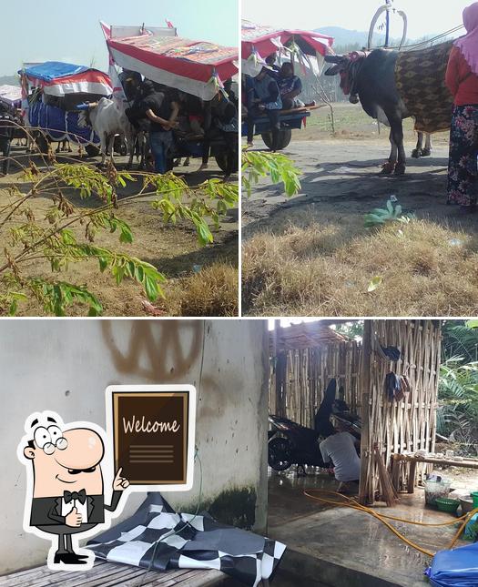 Nongkrong Cafe