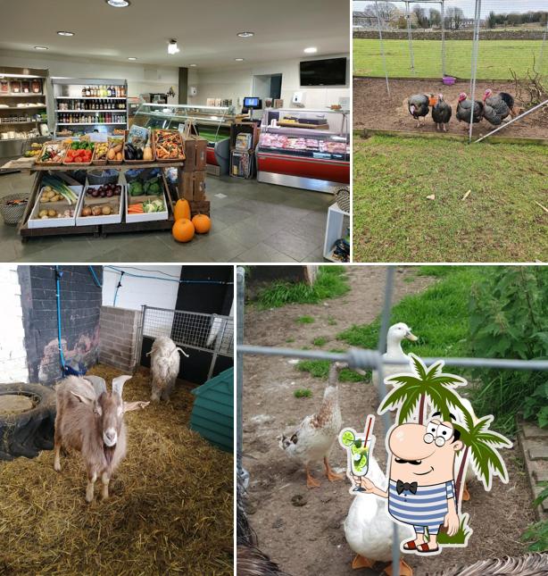 Greenlands Farm Village