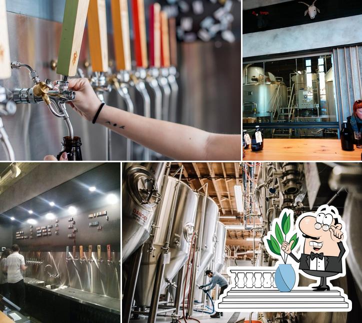 Strange Fellows Brewing