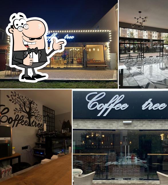 Coffee tree