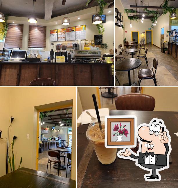 YELLOW DAY COFFEE ROASTERS