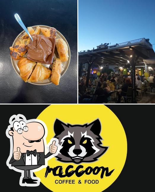 Yellow Raccoon3P88+89 Ζεφύρι