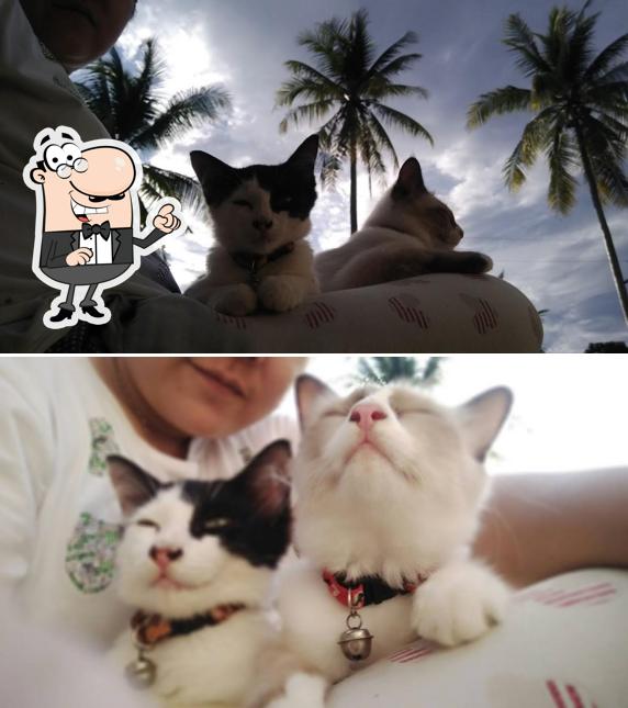 บ้าน พ.ศรสิงห์
