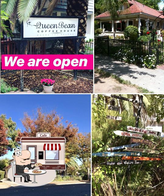 The Queen Bean Coffee & Social House