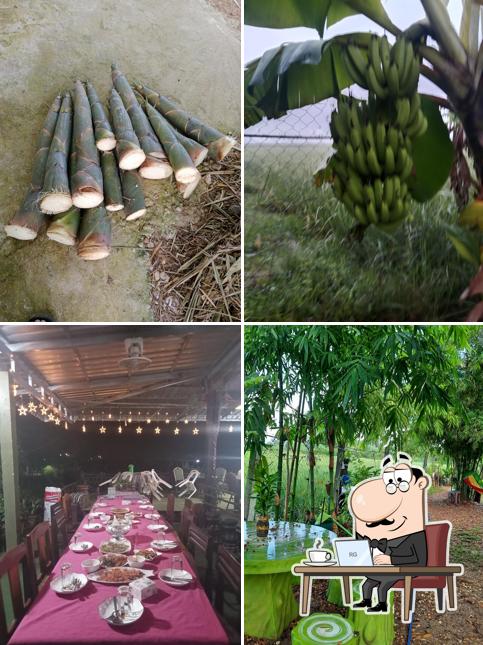 ທົ່ງນາບ້ານເຮົາ