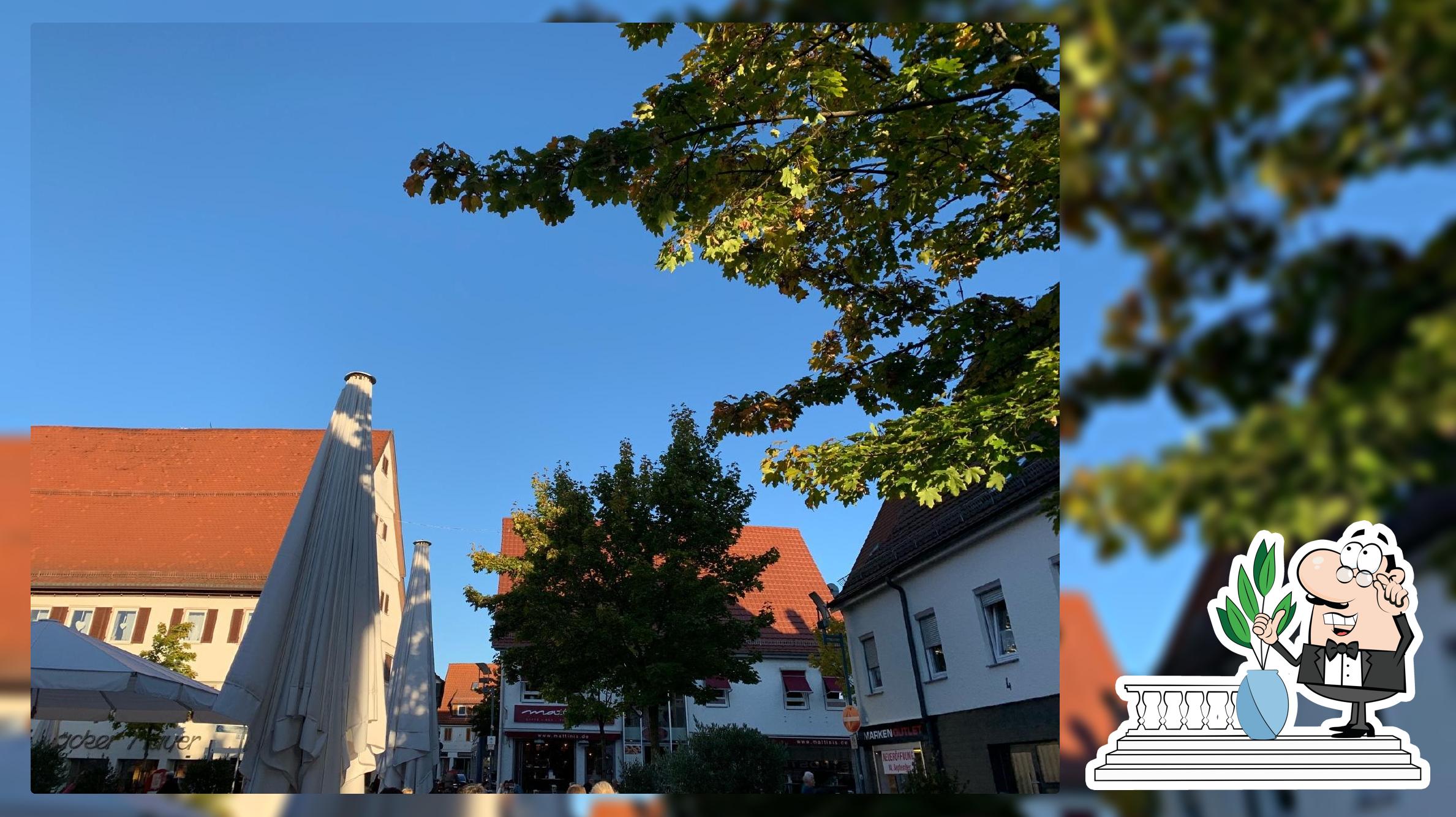 Schoenbeins