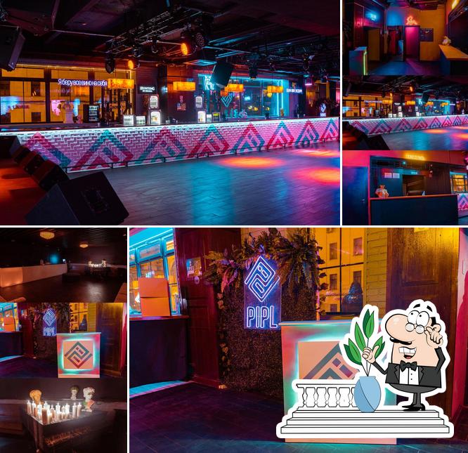 Pipl Bar
