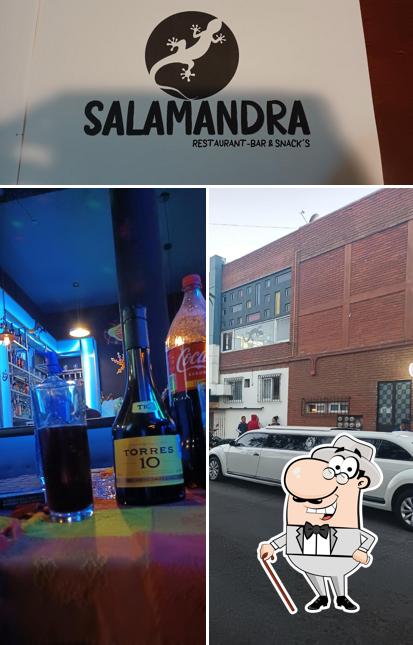 QUE AGUSTICIDAD CANTINA (SALAMANDRA)