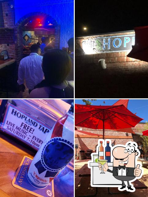 Hopland Ale House