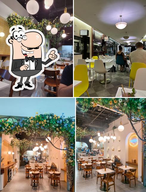 Cafe Motek - Downtown