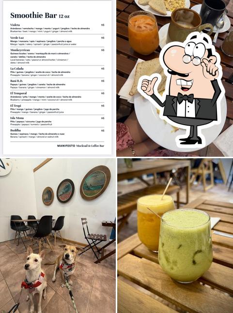 Manifesto Mocktail Coffee Bar