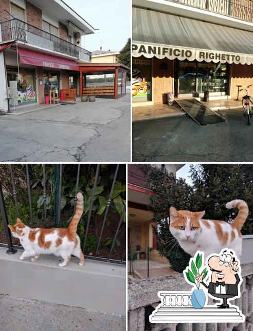 Panificio Righetto
