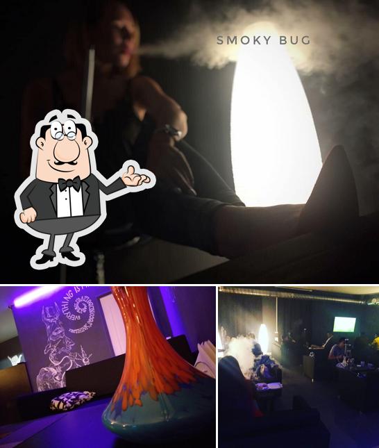 Smoky Bug