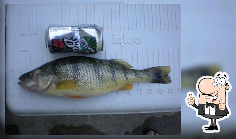 Lake Fish Co