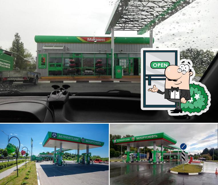 Белоруснефть