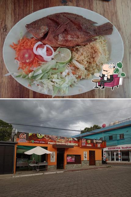 Don Porci