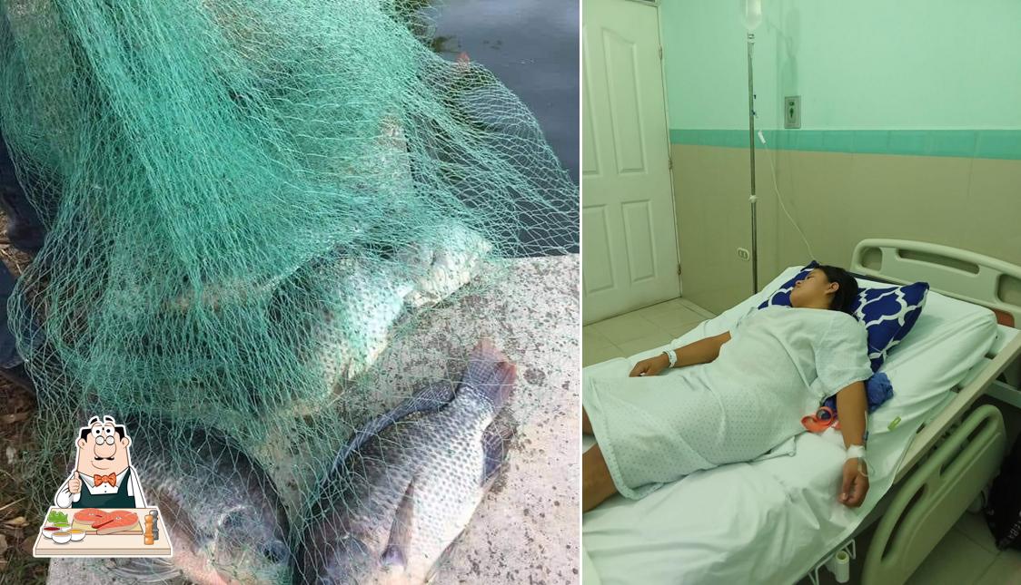 Venta de Pescado vivo