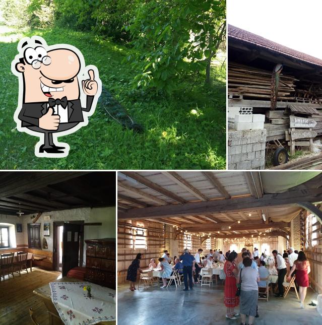 Brenčič Vilma - Kmetija odprtih vrat Šinkovc - Dopolnilna dejavnost na kmetiji