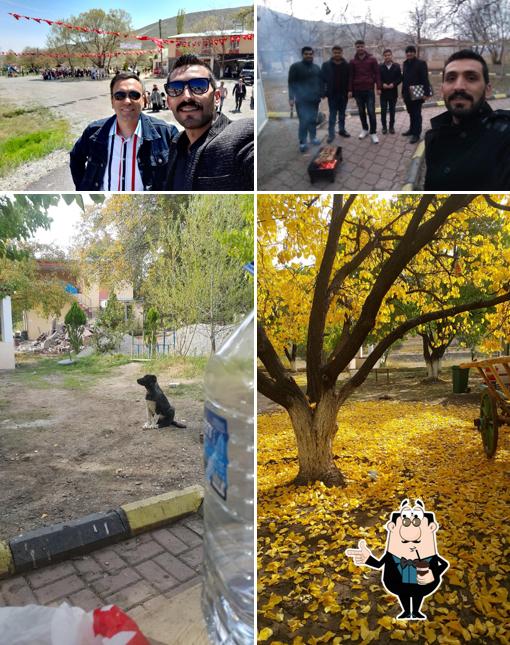 Saklı Bahçe