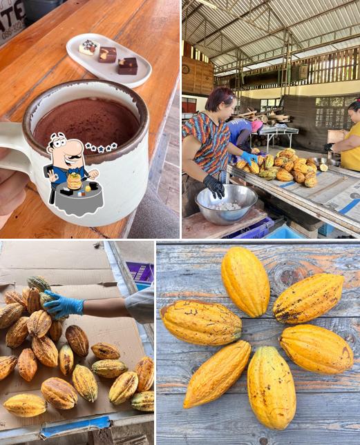 Boo Chocolate - Tree to Bar Craft Chocolate Atelier Experience Chiang Rai