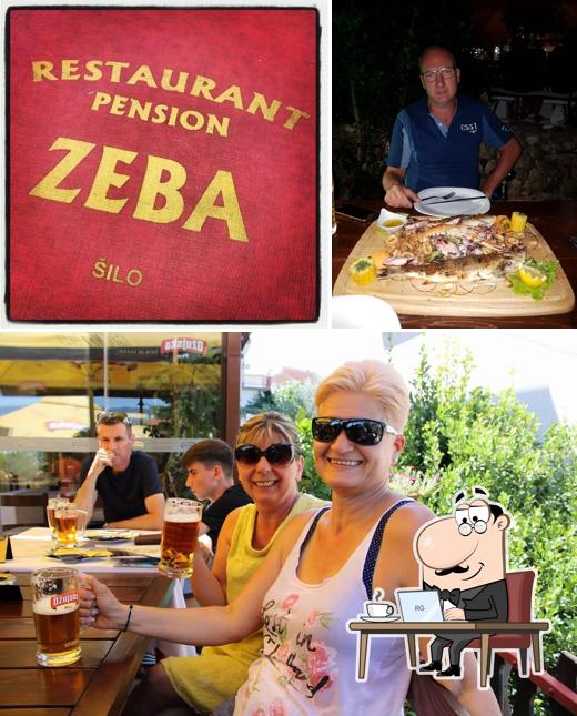 Zeba
